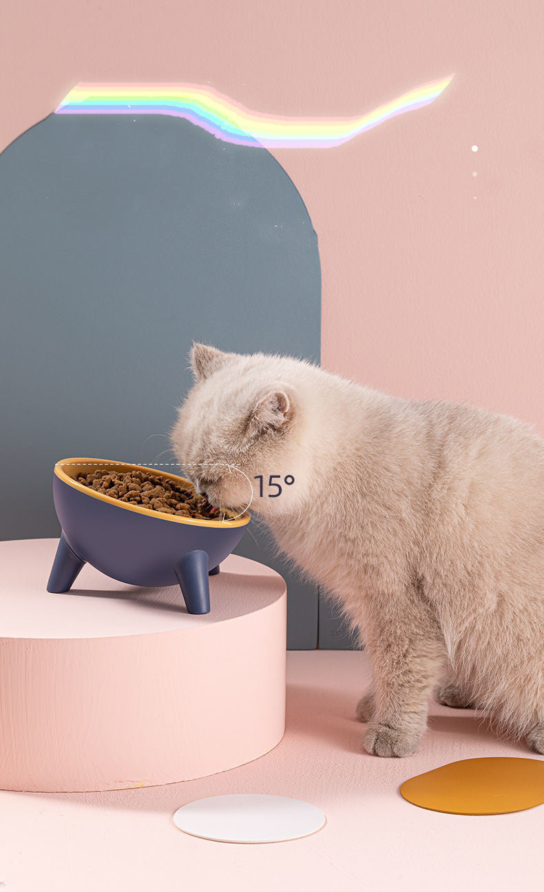 Cat Dog Bowl With Stand Pet Feeding