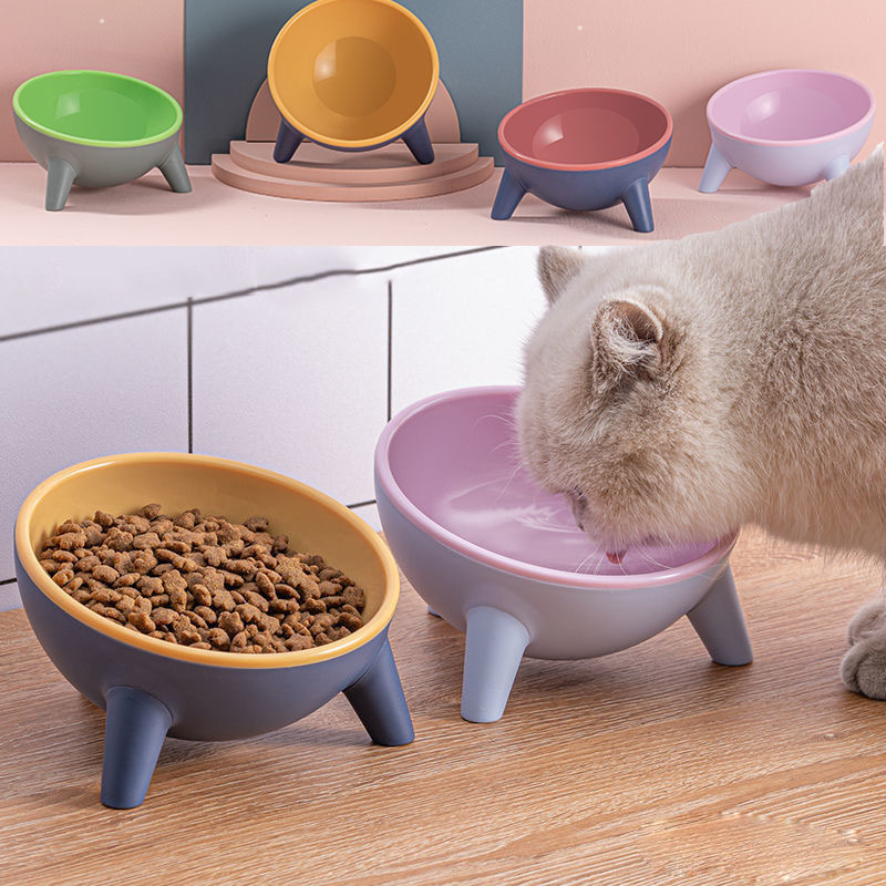 Cat Dog Bowl With Stand Pet Feeding